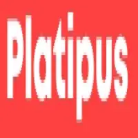 Leading casino games development studio - Platipus Limited
